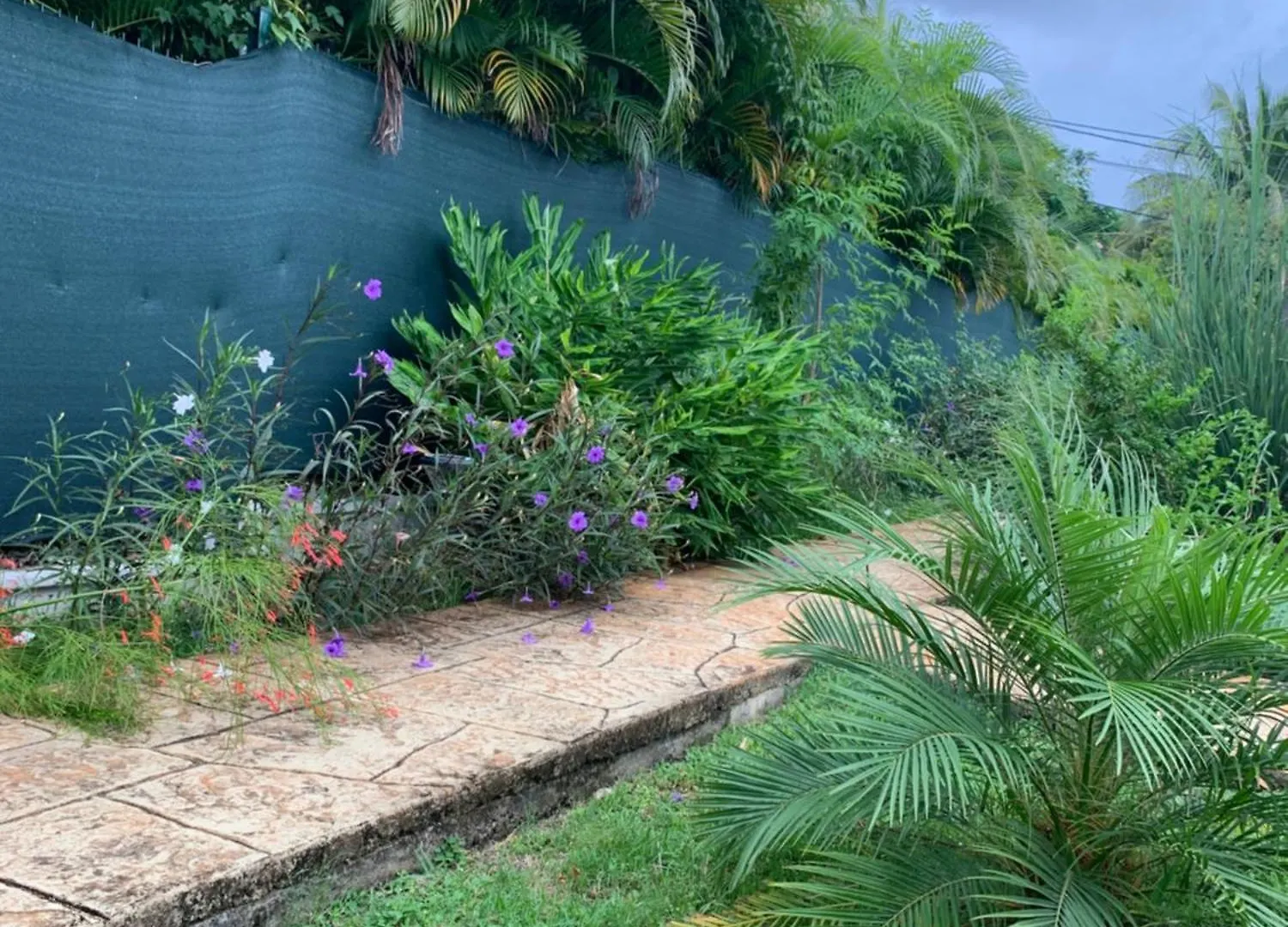 Le Jardin Zen Villa Bouillante Guadeloupe